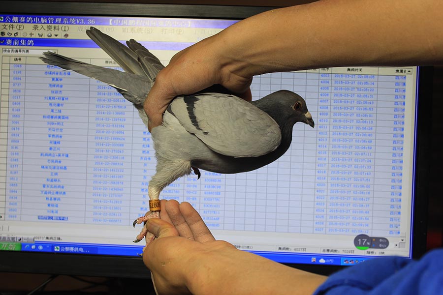 4027 