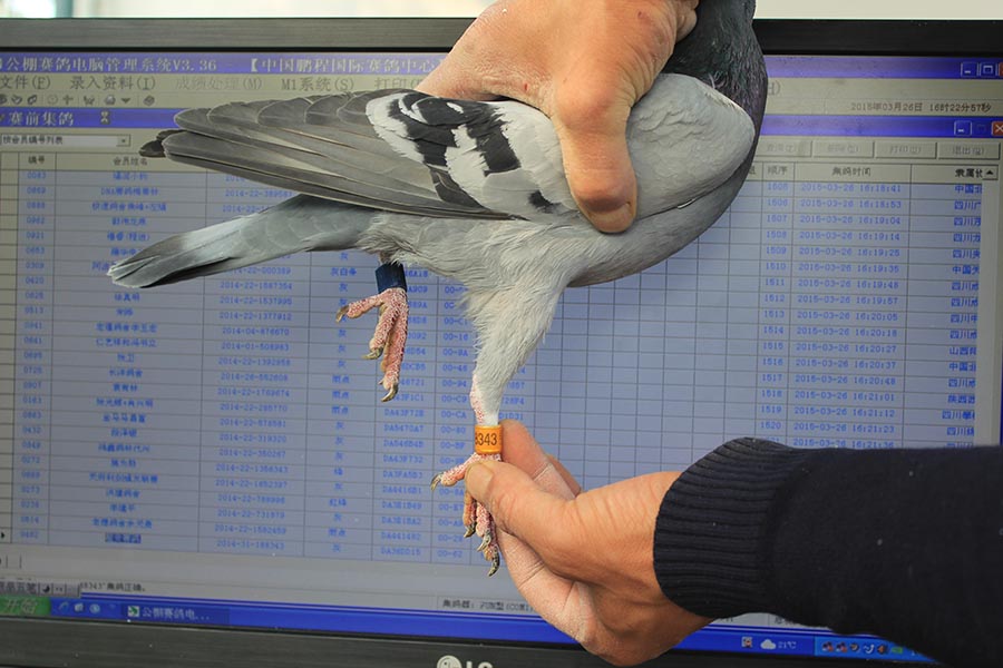 1529 